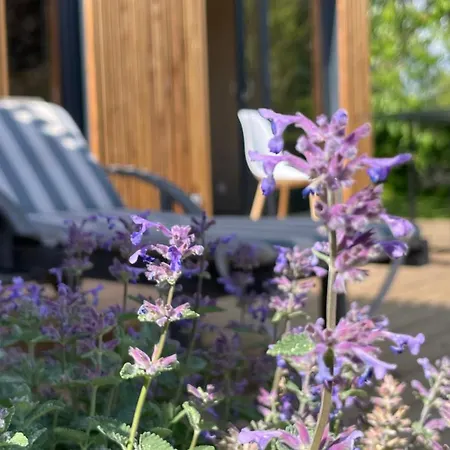 Greenkub Serenity Holiday home *
