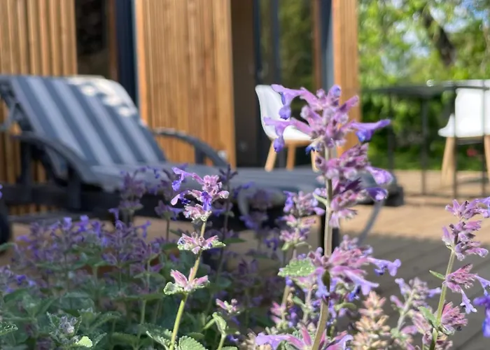 Greenkub Serenity Vakantiehuis *